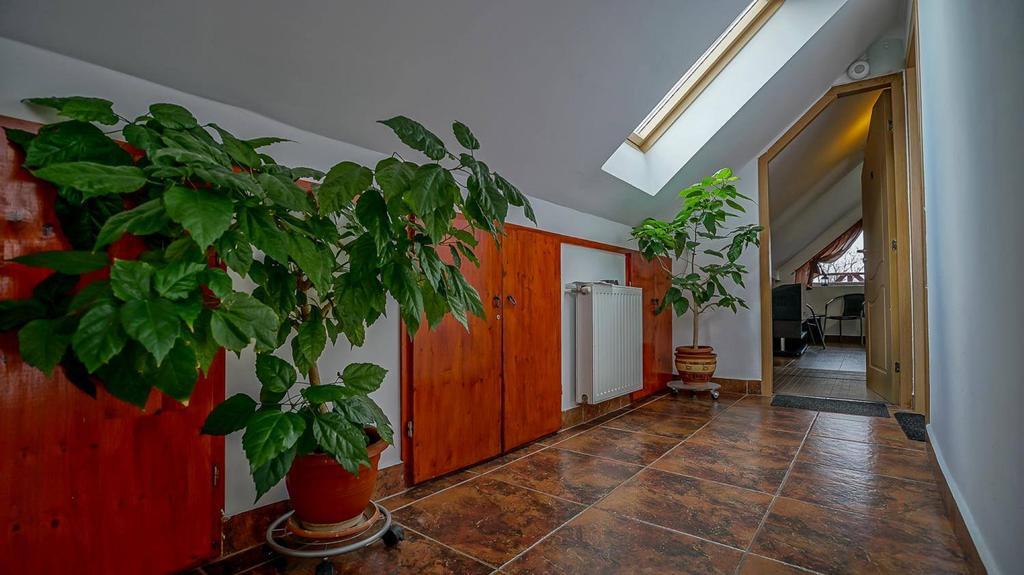 Guest house Pensiunea Hanna Brasov